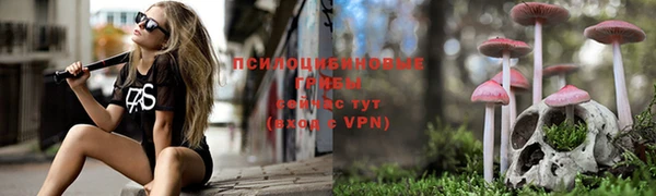 соль курить ск Богородицк